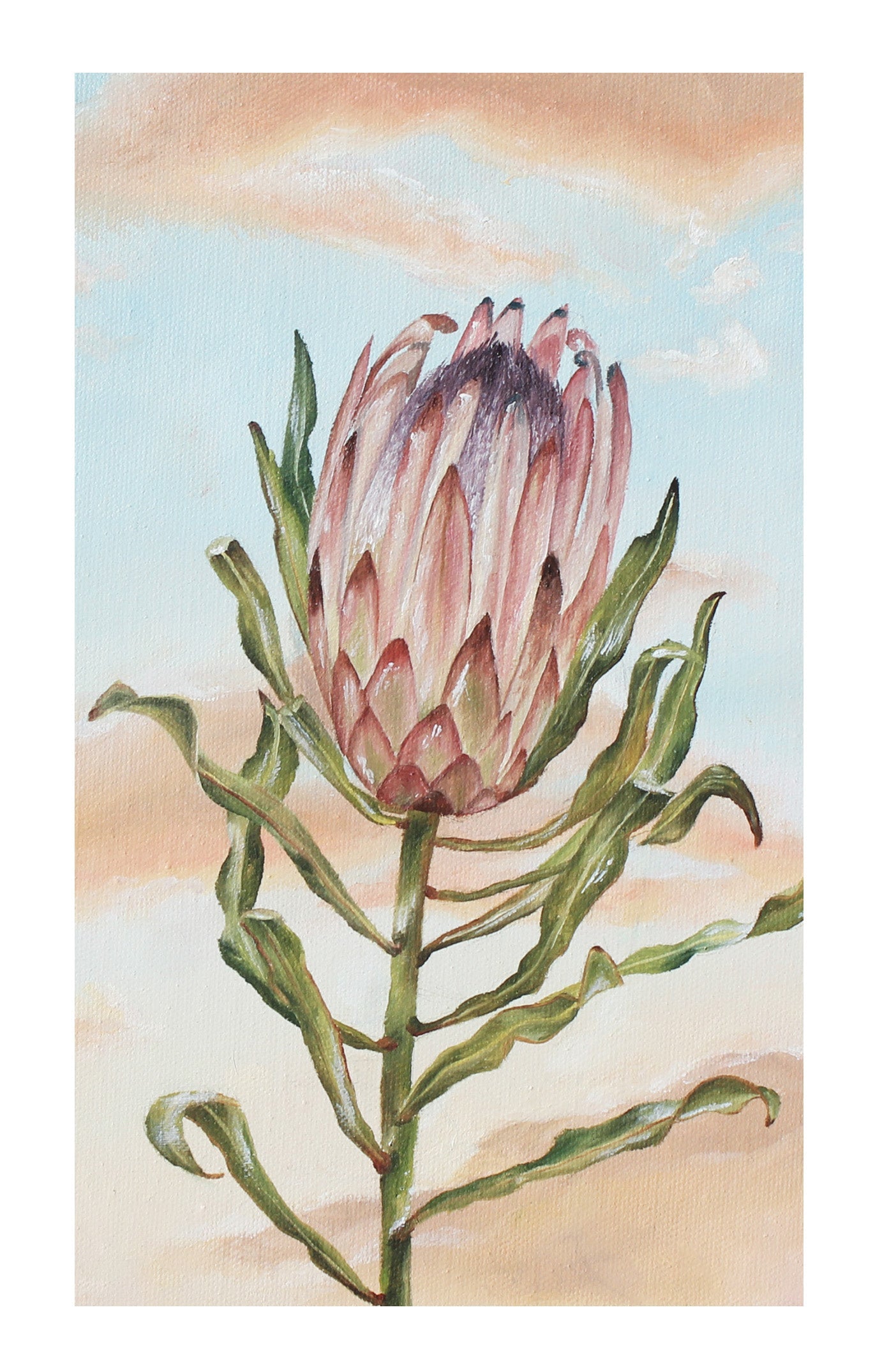 Greeting Cards