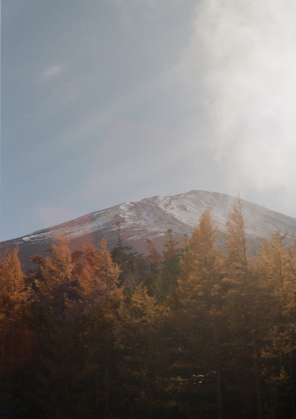Mt Fuji - Film Print