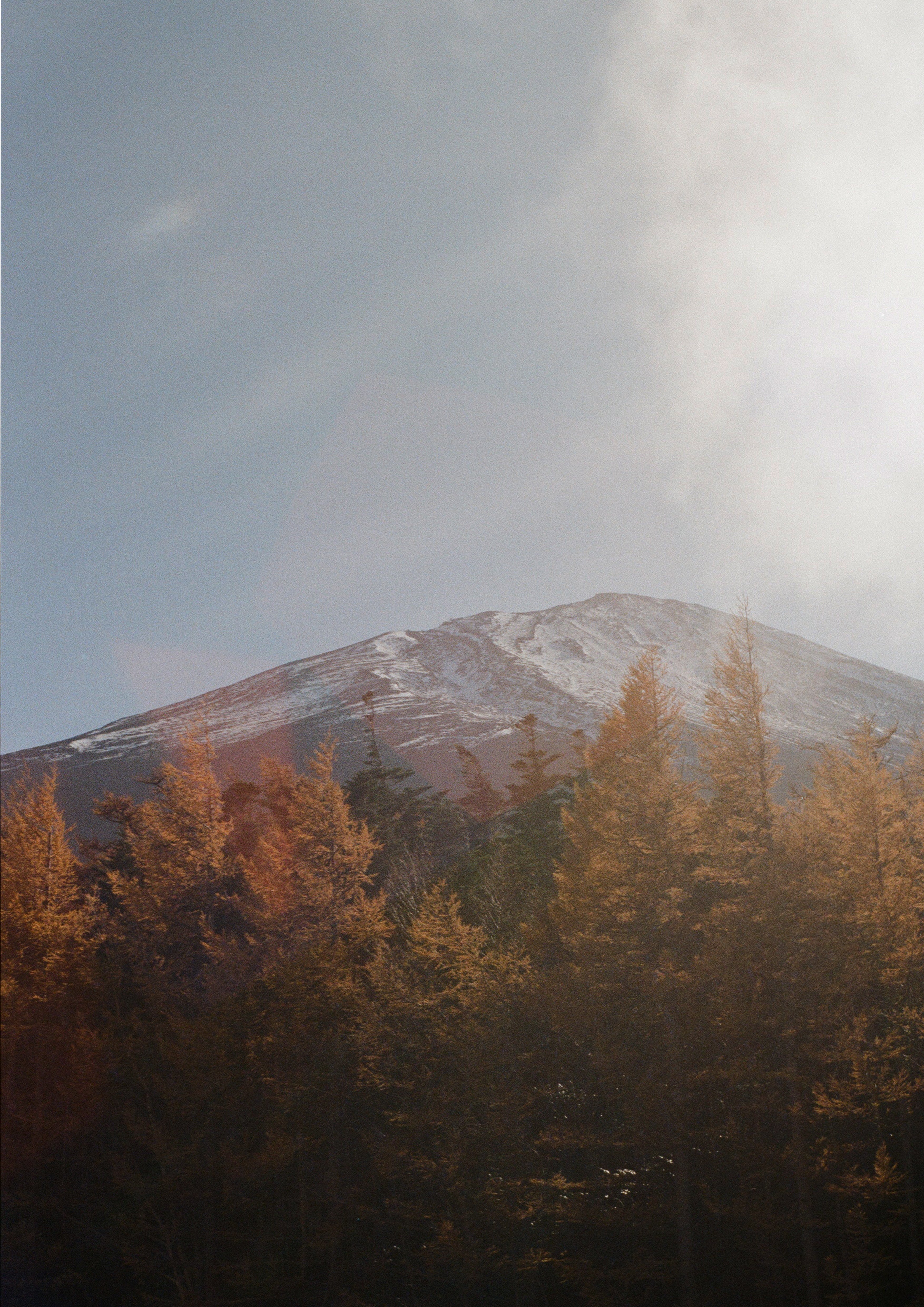 Mt Fuji - Film Print