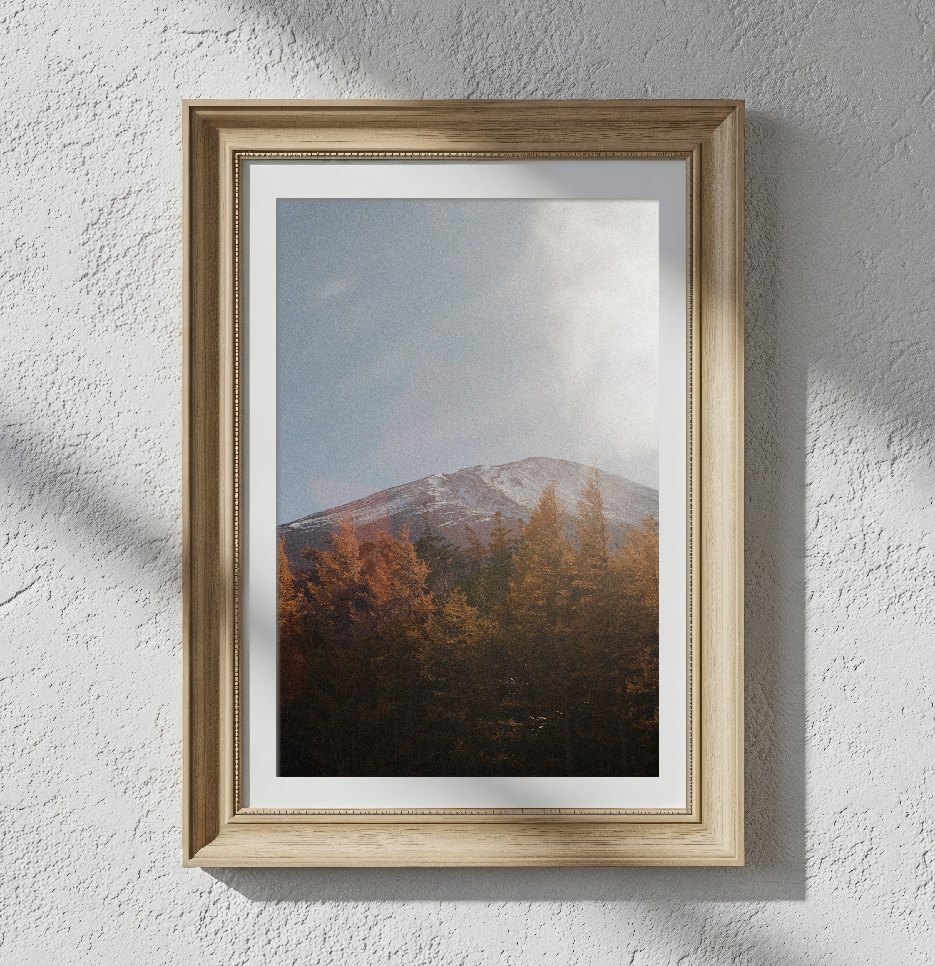 Mt Fuji - Film Print